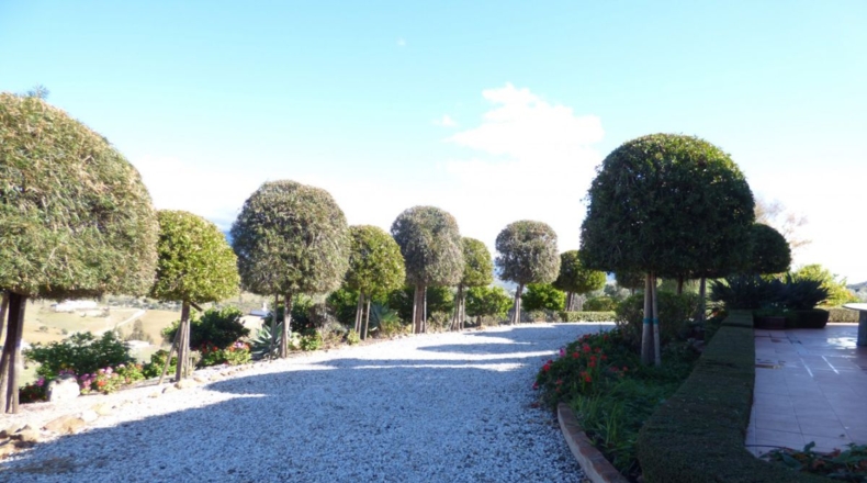 Málaga - Loma de la Cuesta del Molino - 5000m2