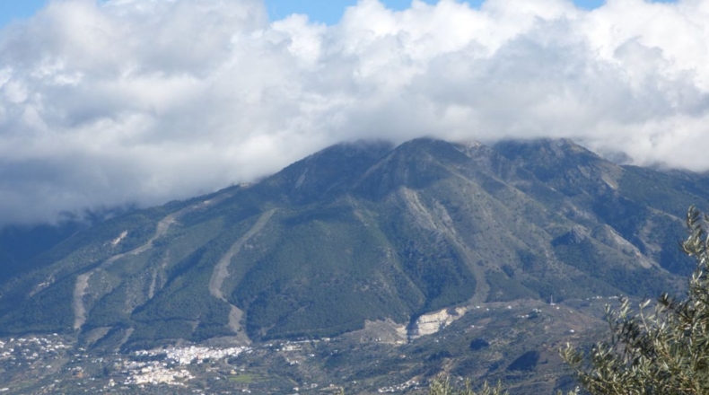 Málaga - Loma de la Cuesta del Molino - 5000m2