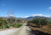 Xalet independent amb terreny en venda a Viñuela ref.: TR62275 foto