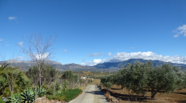 Málaga - Loma de la Cuesta del Molino - 5000m2