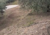 Rural estate for sale in Arenas ref: TR285030 photo