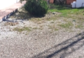Rural estate for sale in Arenas ref: TR285030 photo