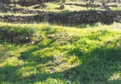 Rural estate for sale in Arenas ref: TR285030 photo