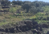 Rural estate for sale in Arenas ref: TR285030 photo