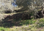 Rural estate for sale in Arenas ref: TR285030 photo
