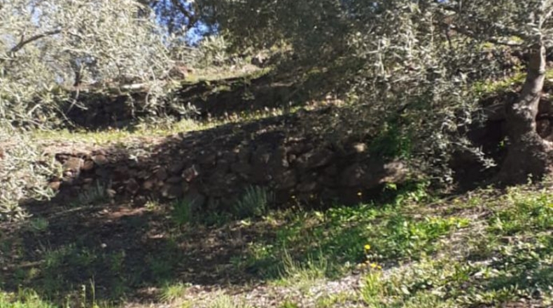 Málaga - Arenas - 11806m2