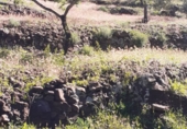 Rural estate for sale in Arenas ref: TR285030 photo