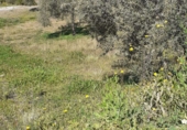 Rural estate for sale in Arenas ref: TR285030 photo