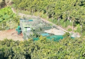 Земельный участок на продажу в городе Vélez-Málaga. Фото