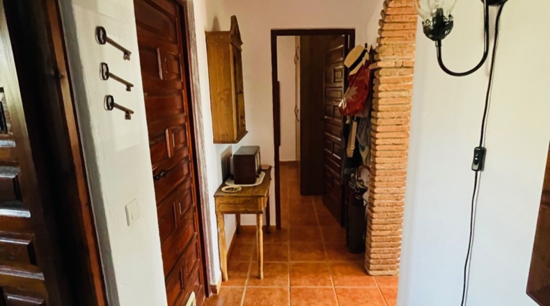 Málaga - Велес-Малага - 10000m2