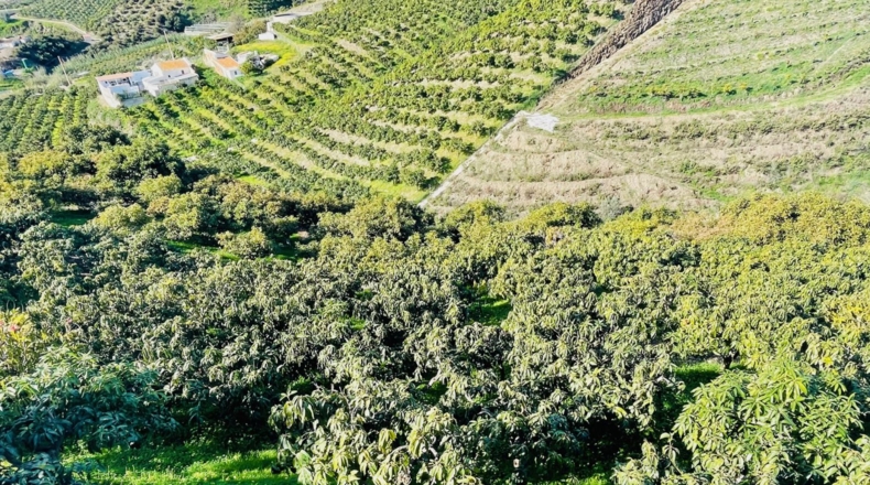 Málaga - Велес-Малага - 10000m2