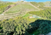 Земельный участок на продажу в городе Vélez-Málaga. Фото