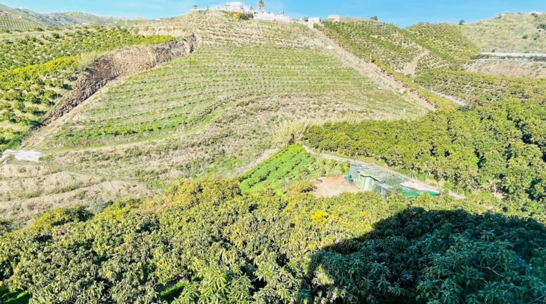 Málaga - Велес-Малага - 10000m2