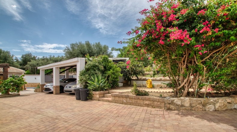 Malaga - Periana - 1574m2