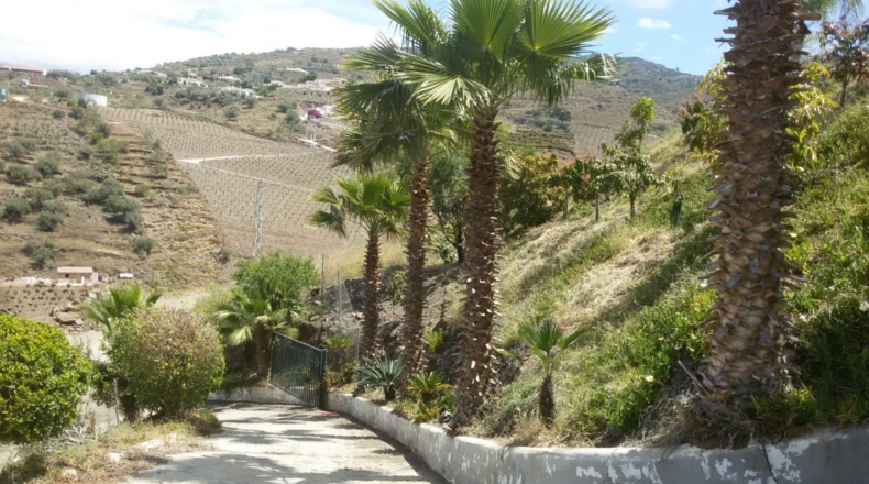 Málaga - Daimalos - 2700m2
