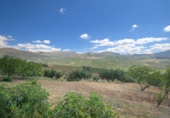 Xalet independent amb terreny en venda a Periana ref.: TR187599 foto