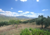 Xalet independent amb terreny en venda a Periana ref.: TR187599 foto