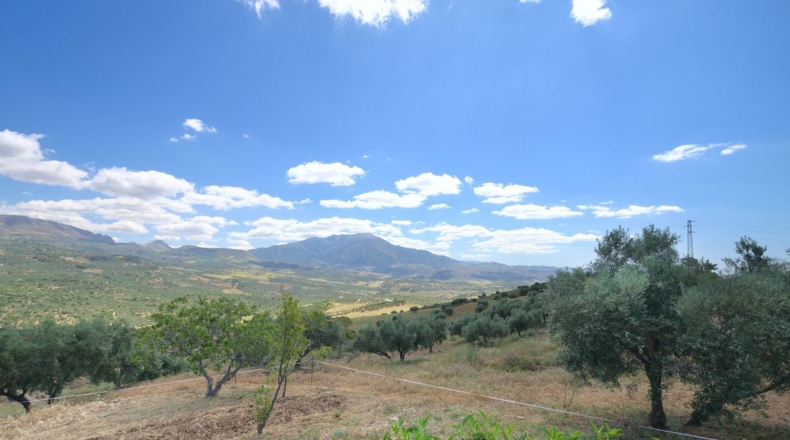 Málaga - Regalón - 22177m2