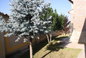 Foto 7