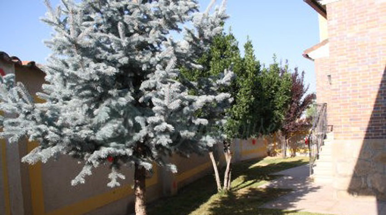 Segovia - Perogordo - 1353m2