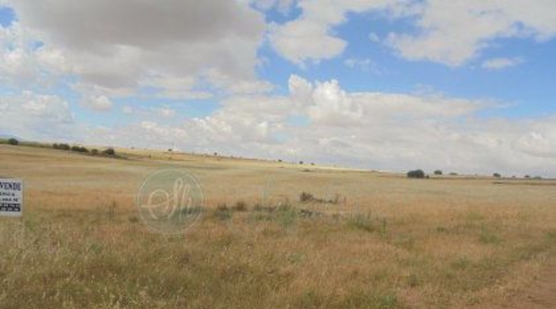 Segovia - Adrada de Pirón - 300000m2