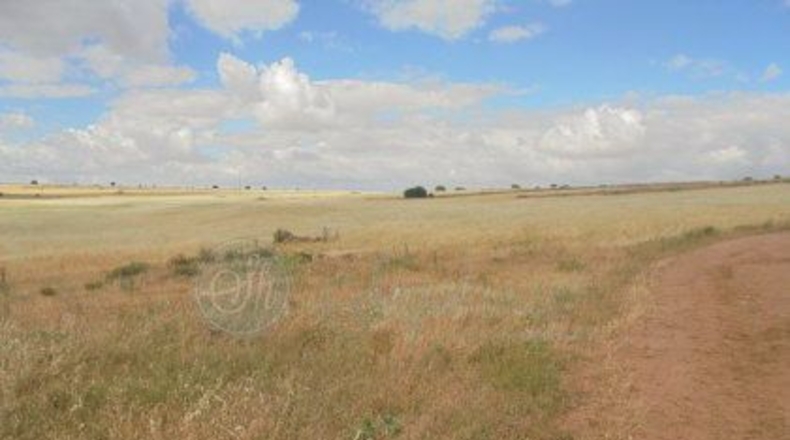 Segovia - Adrada de Pirón - 300000m2