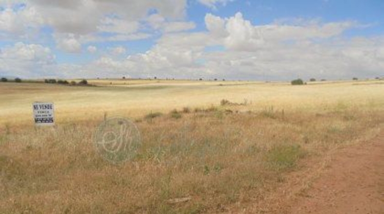 Segovia - Adrada de Pirón - 300000m2