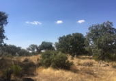 Sòl urbà en venda a Ituero y Lama ref.: TR22225 foto
