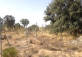 Sòl urbà en venda a Ituero y Lama ref.: TR22225 foto