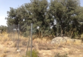 Sòl urbà en venda a Ituero y Lama ref.: TR22225 foto