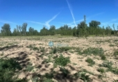 Rural estate for sale in Mozoncillo ref: TR22913 photo