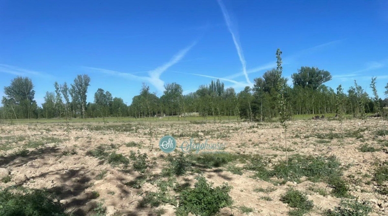 Segovia - Mozoncillo - 20000m2