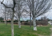 Sòl urbà en venda a Ortigosa del Monte ref.: TR22236 foto