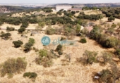Terreno no urbanizable en venta en Navas de Riofrío ref: TR53749 foto