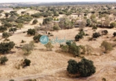 Terreno no urbanizable en venta en Navas de Riofrío ref: TR53749 foto