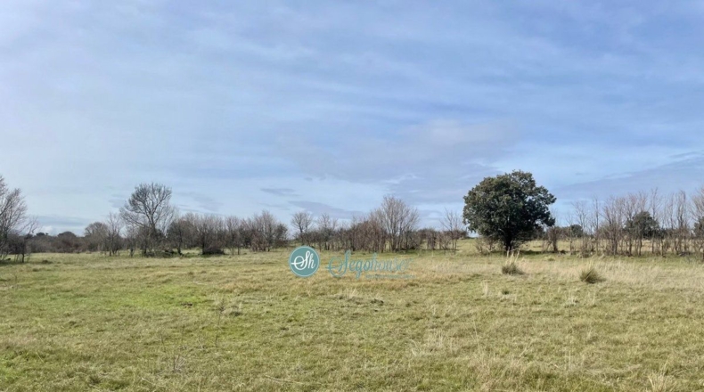 Segovia - Perogordo - 15207m2