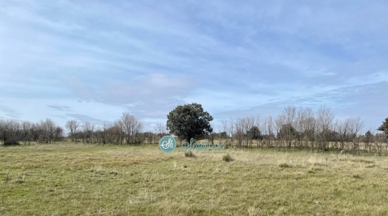 Segovia - Perogordo - 15207m2