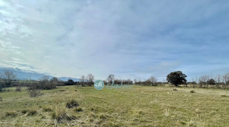 Segovia - Perogordo - 15207m2