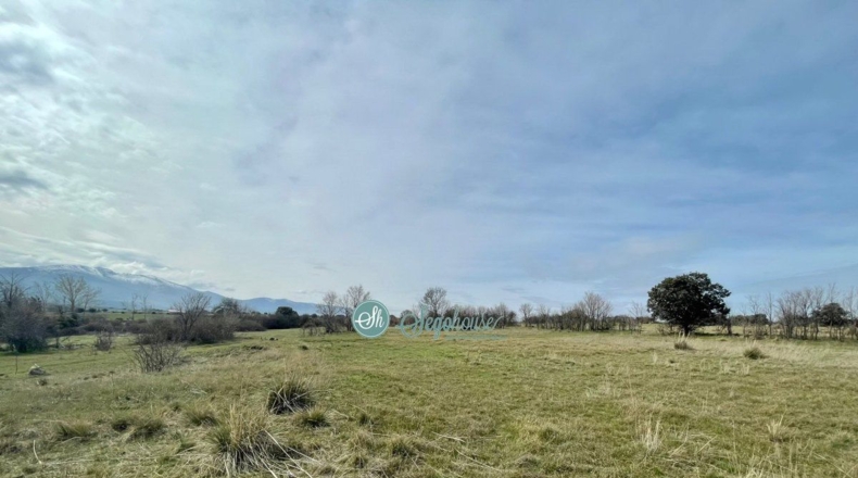 Segovia - Perogordo - 15207m2