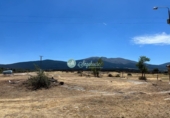 Industrial warehouse for rent in Revenga ref: TR285026 photo