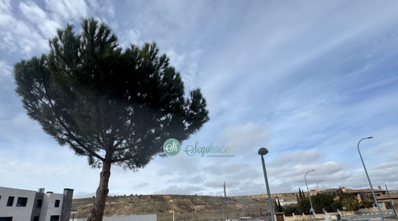 Segovia - La Lastrilla - 528m2