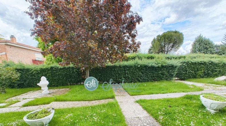 Segovia - Madrona - 2000m2