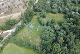 Pedraza 17000&nbsp;m² 