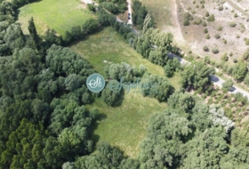 Pedraza 17000&nbsp;m² 