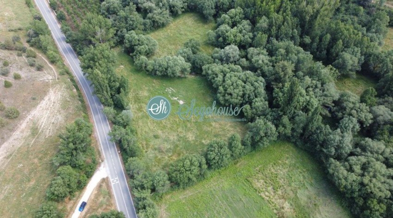 Segovia - Pedraza - 17000m2