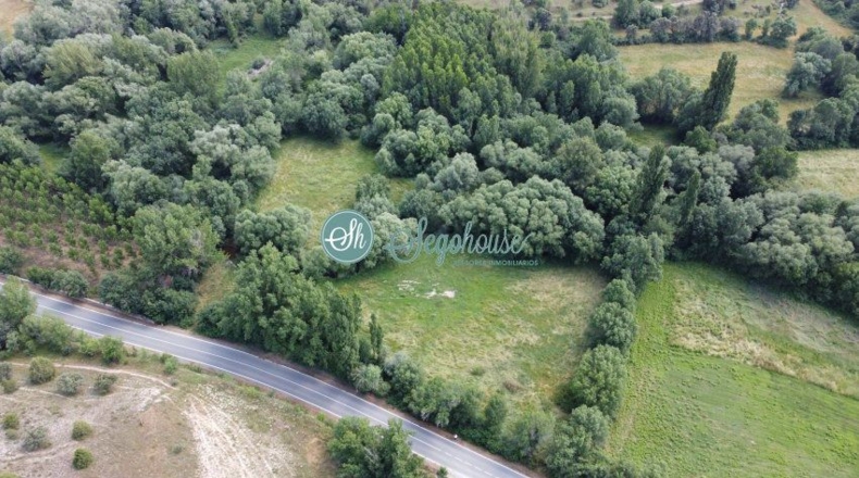 Segovia - Pedraza - 17000m2