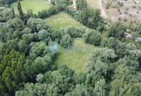 Pedraza 17000&nbsp;m² 