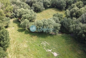 Pedraza 17000&nbsp;m² 