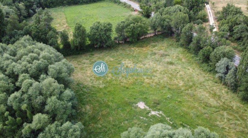 Segovia - Pedraza - 17000m2