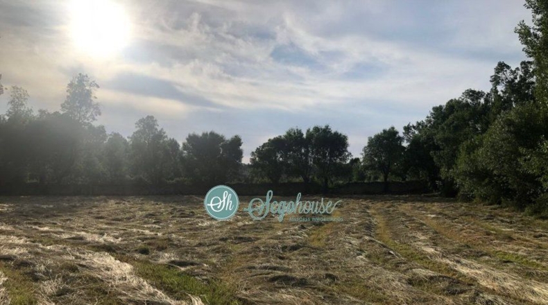 Segovia - Pedraza - 17000m2